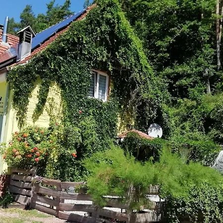 Violeta Villa Dambach Kültér fotó