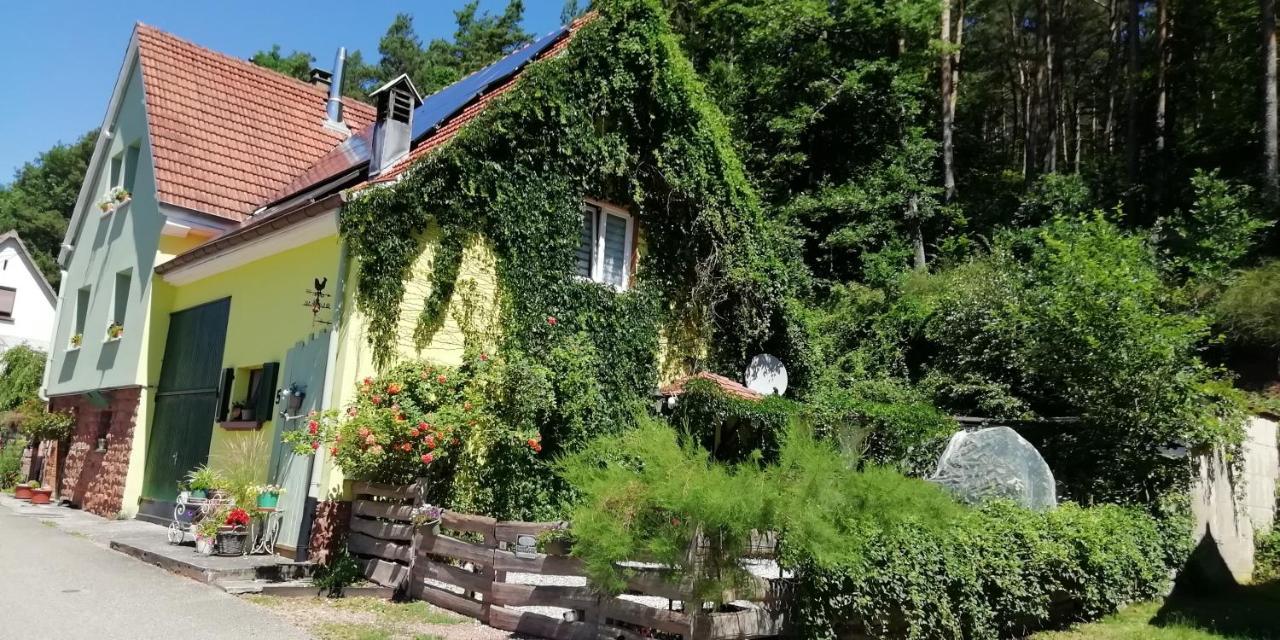 Violeta Villa Dambach Kültér fotó