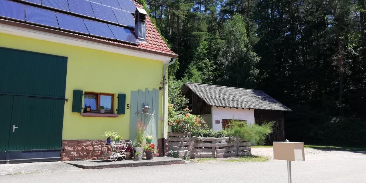 Violeta Villa Dambach Kültér fotó